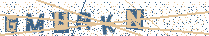 Digita le lettere visualizzate nell'immagine